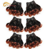 Curly Human Hair Bundles 100% Human Hair Bundles Brazilian Hair Weave Bundles 6 Pcs/Lot Color 1B/2/4/30/33/99J Curly Hair
