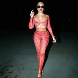 Bandana Print Sheer Mesh Two Piece Set